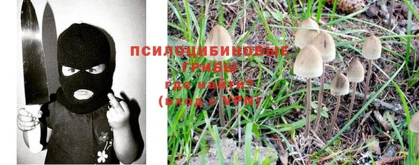 бошки Кинешма