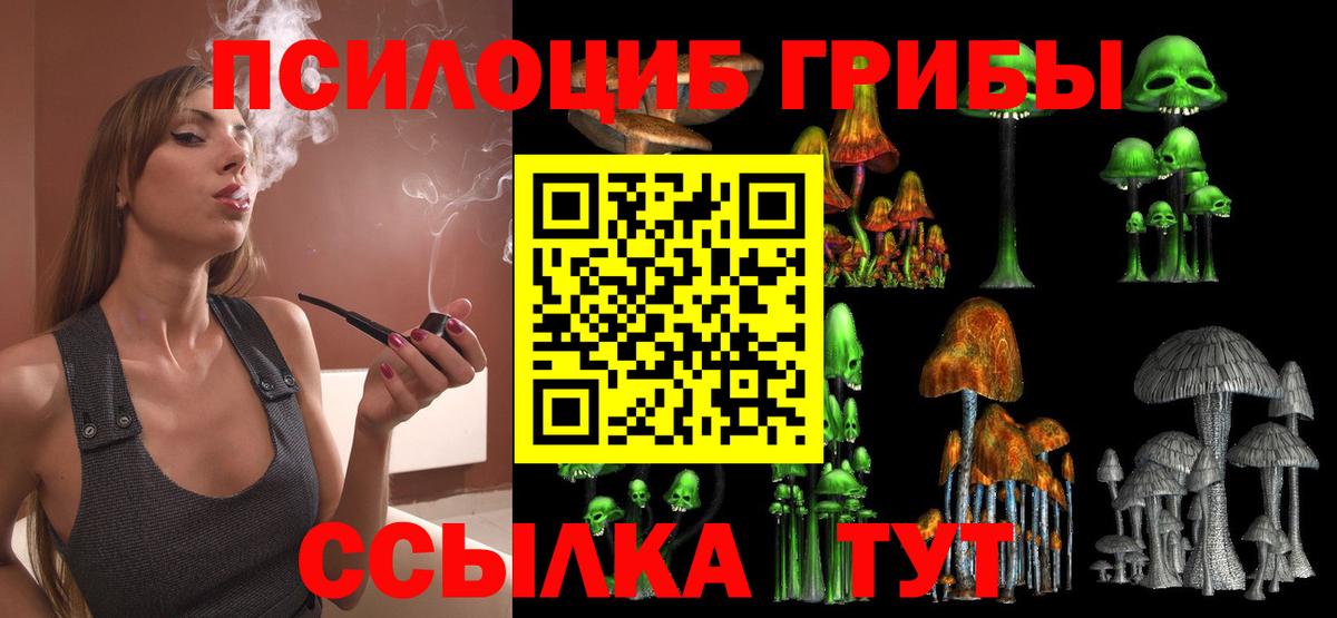Псилоцибиновые грибы Psilocybine cubensis Кировск